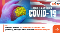 Covid-19 Cases