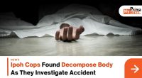 Decompose Body