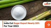 Sugar Export