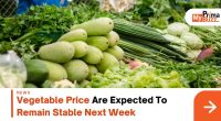 Vegetable Price