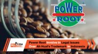 Power Root