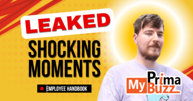 Mrbeast Leaked Employee Handbook Myprimabuzz