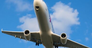 Malaysia Airlines Plane In Mid-Air During Diversion.